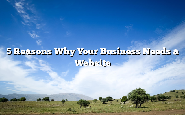 5 Reasons Why Your Business Needs a Website
