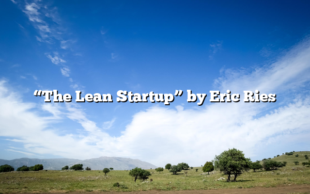 “The Lean Startup” by Eric Ries