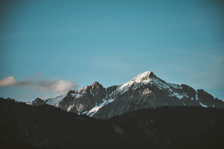 Case Study: Influencer Strategies for Building a Massive Following